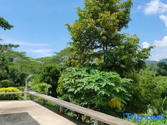The Green Cloud Sandakan