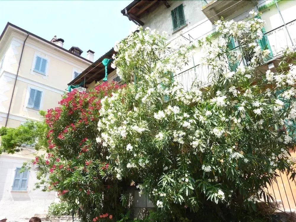 Giusy Isola dei Pescatori
