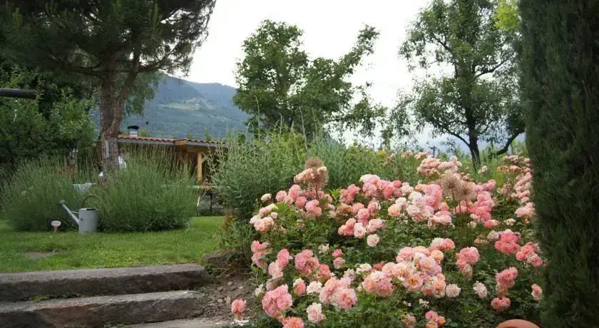 Ferienhaus Aronia