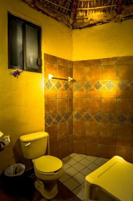Palapas