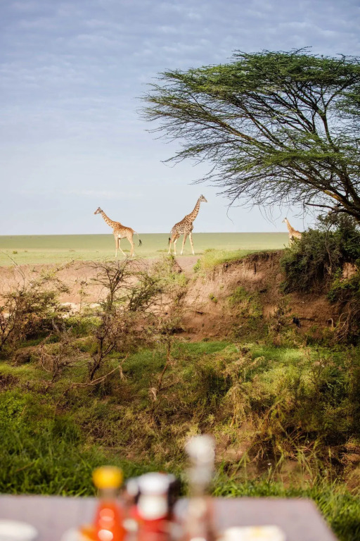 Basecamp Masai Mara