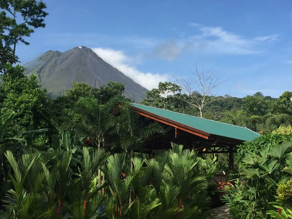 Mussaenda Hotel & Gardens