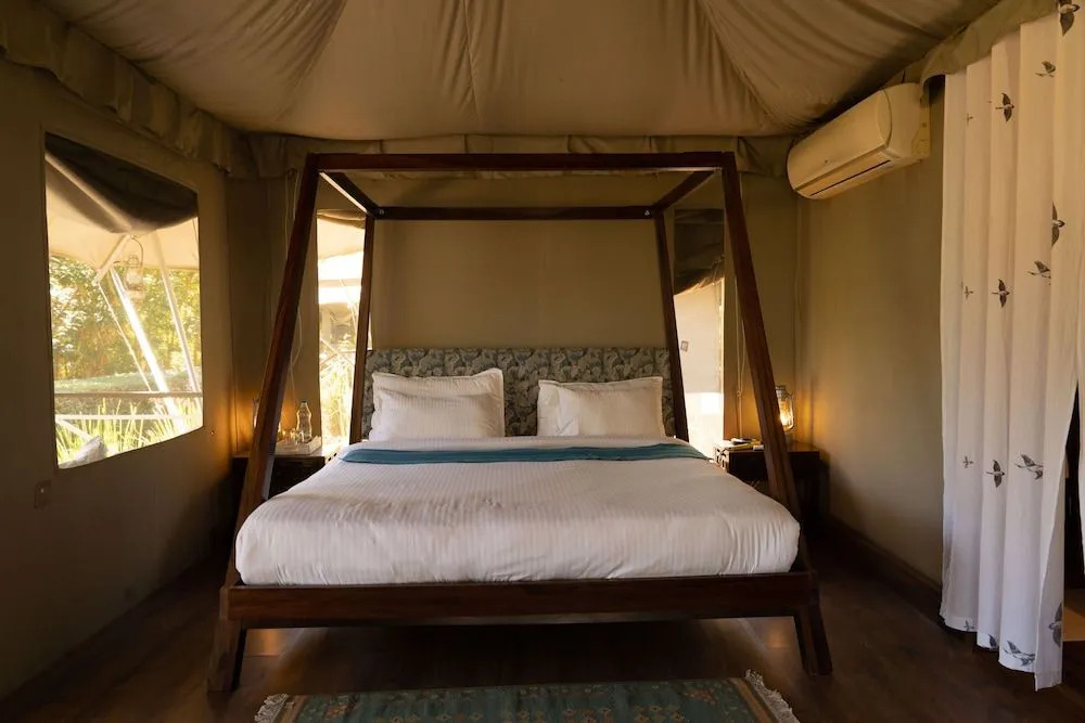 Bagh Tola Bandhavgarh
