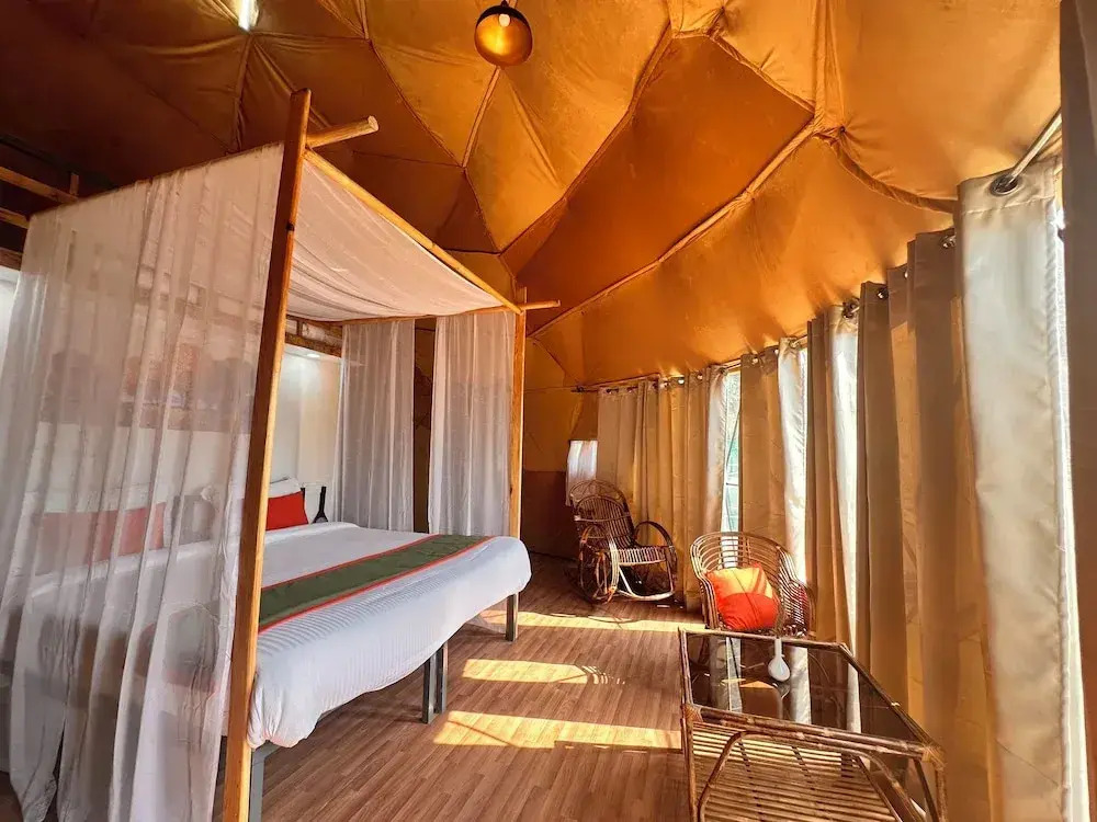 Nestonature Glamping Dharamshala