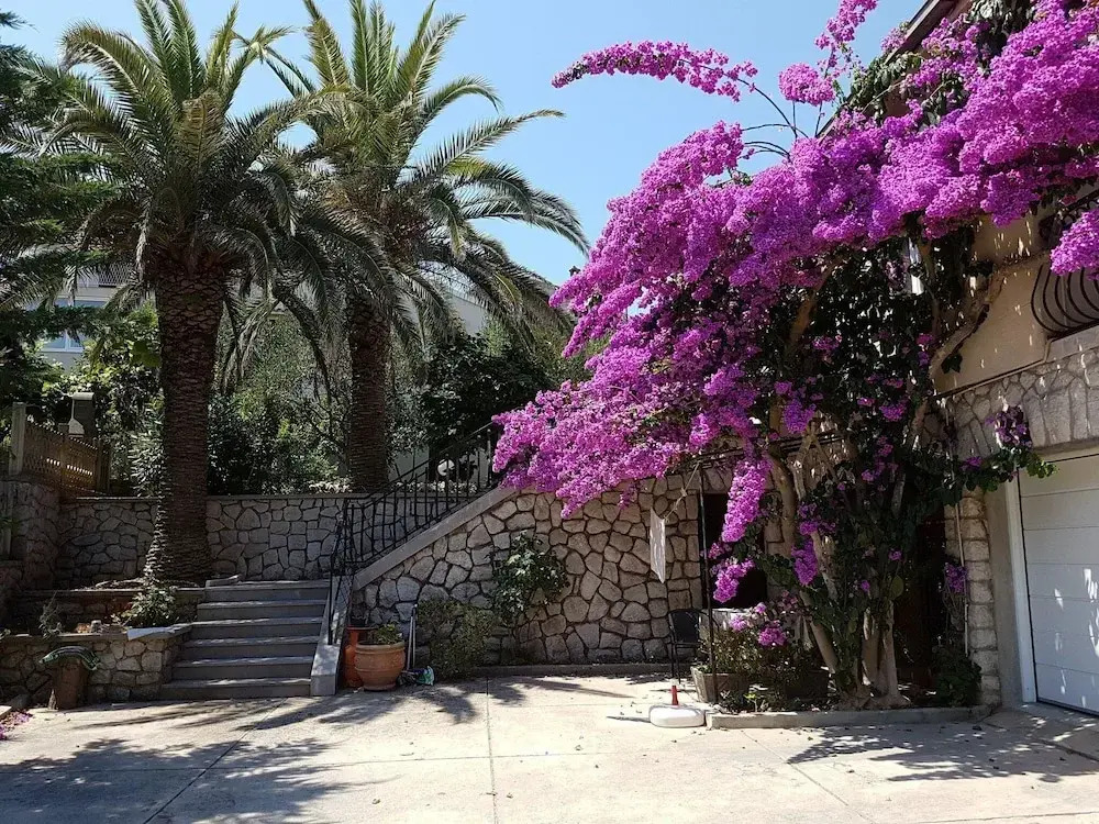 Apartments Nives