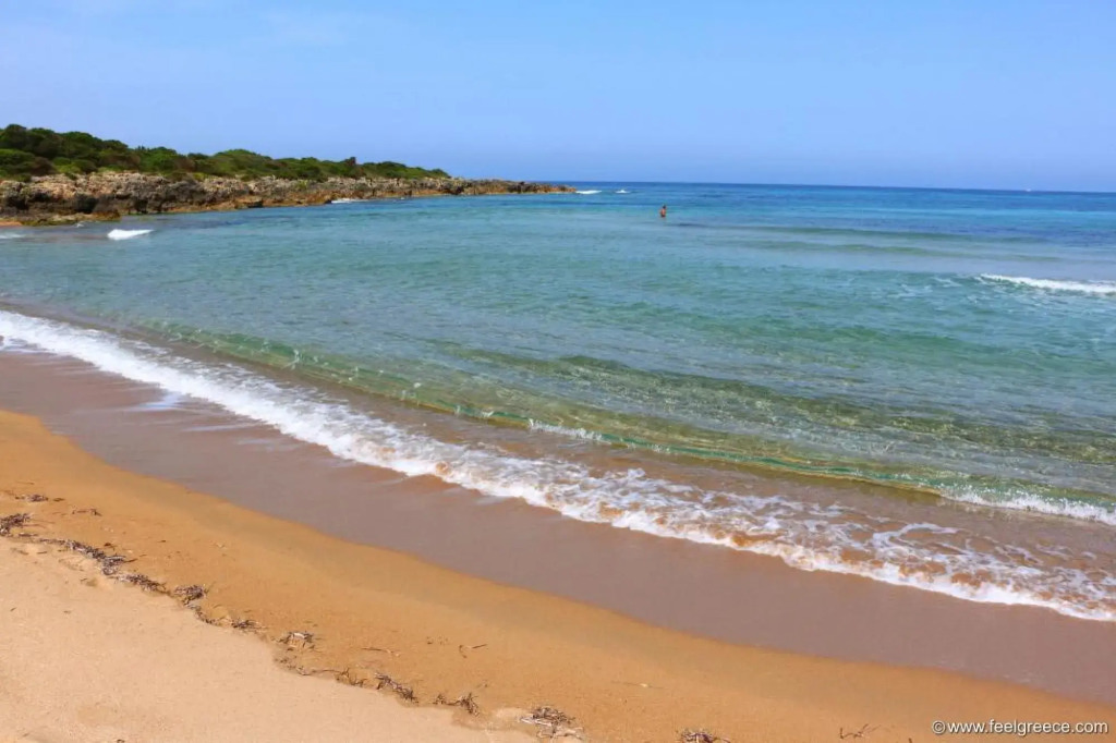 Seaview flat in an olive grove by the beach
