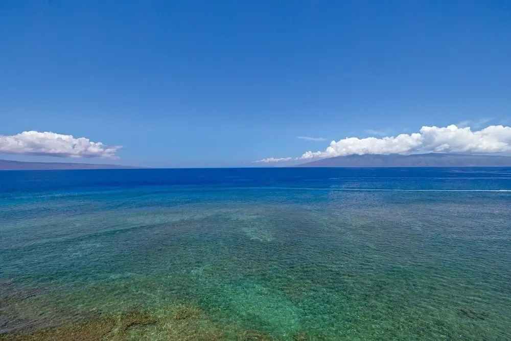 Maui Kai 804 Oceanfront 1 Bd/1ba 1 Bedroom Condo by RedAwning