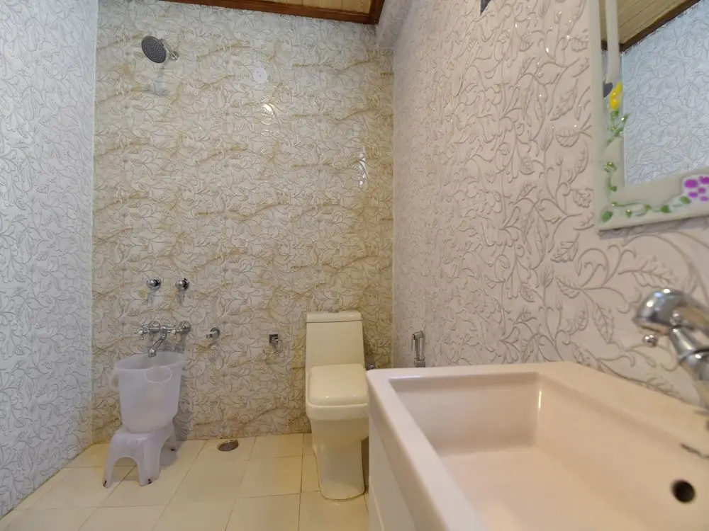 OYO 13364 Home Scenic View Cottage Naggar Road
