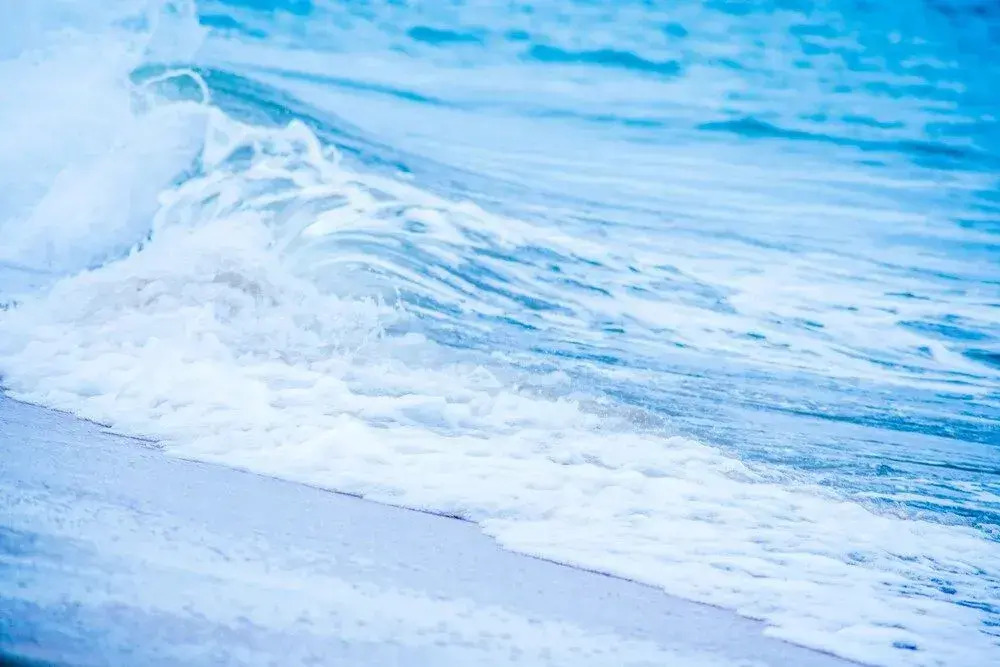 Ocean Wind Beach Resort