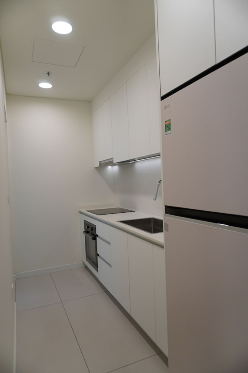 Nice Apartments at Thu Thiem Ziet River