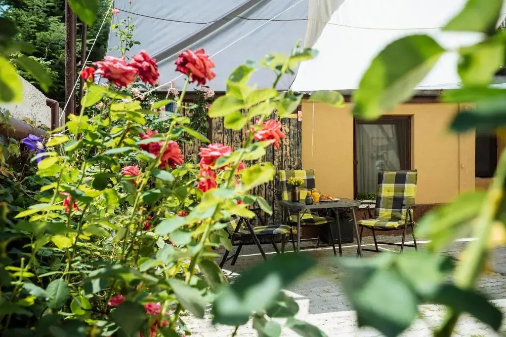 Lovely apartment and quiet courtyard in city centre