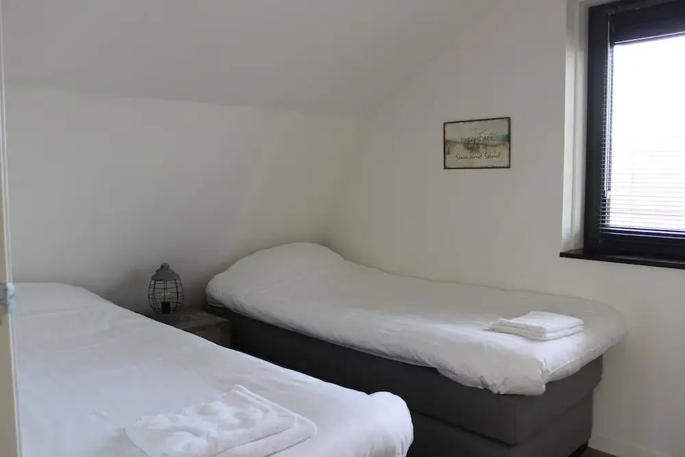 Zeester Egmond nr 15