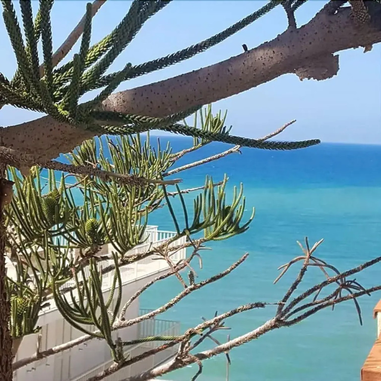 Casa Aliga