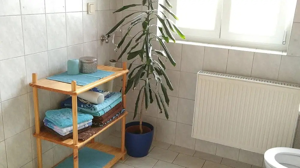 Ferienwohnung Steinwald Ausläufer