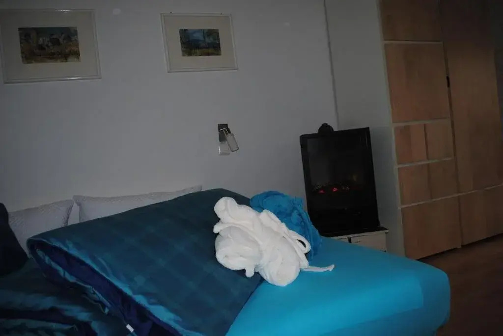 Haus Frank Apartment6