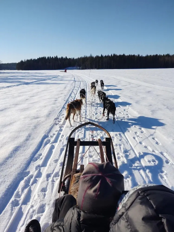 Lagomhuset - A peaceful holiday in Swedish Lapland