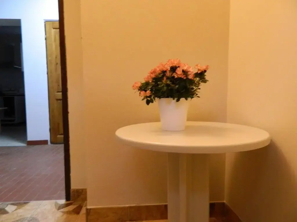 DOM WYPOCZYNKOWY RYBNICKA - Apartamenty