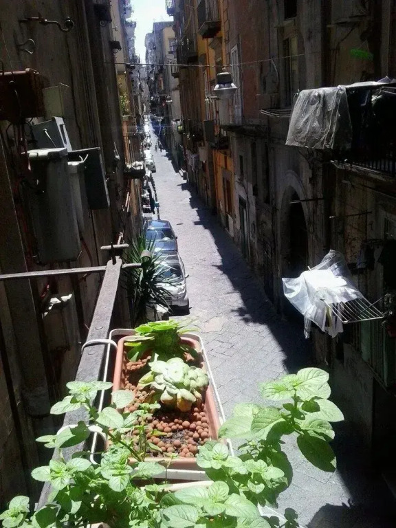 La Casa Di Roselin
