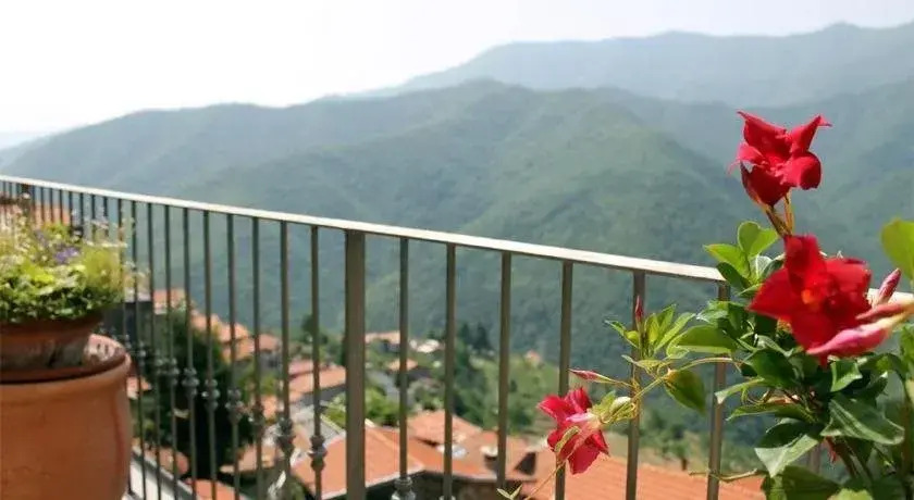 B&B La Tana delle Volpi