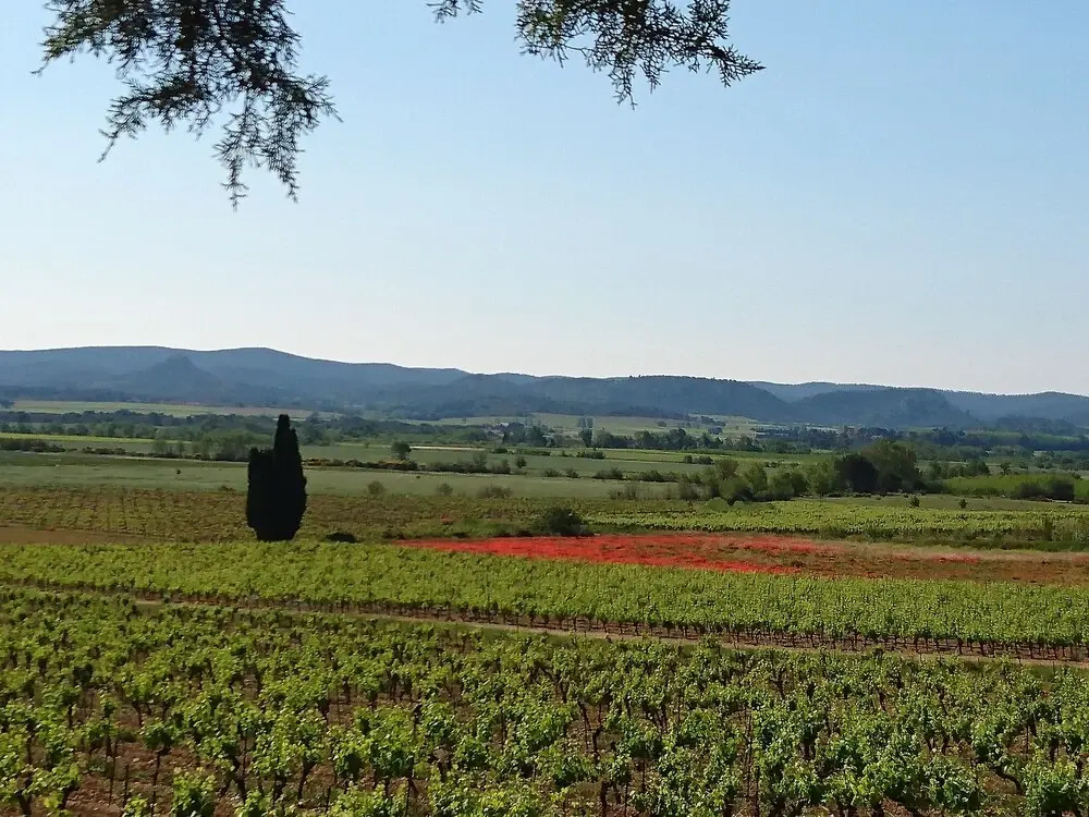 Domaine Conscience