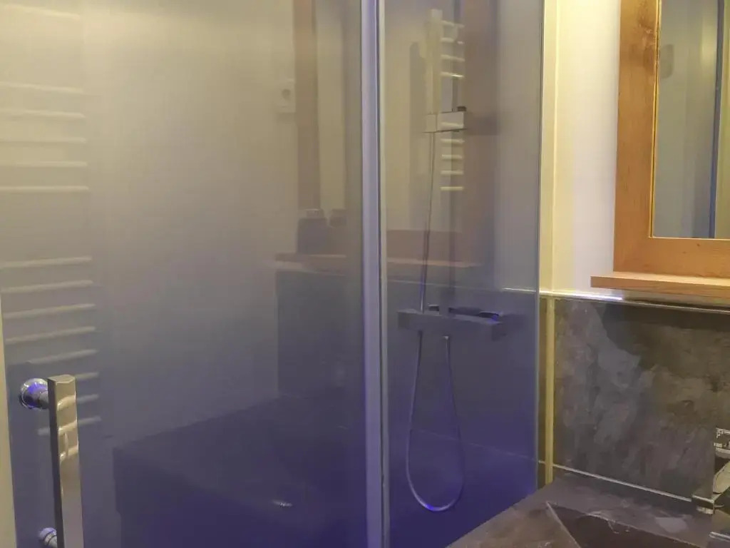 Appartement Les Deux Alpes, 1 pièce, 3 personnes - FR-1-516-132