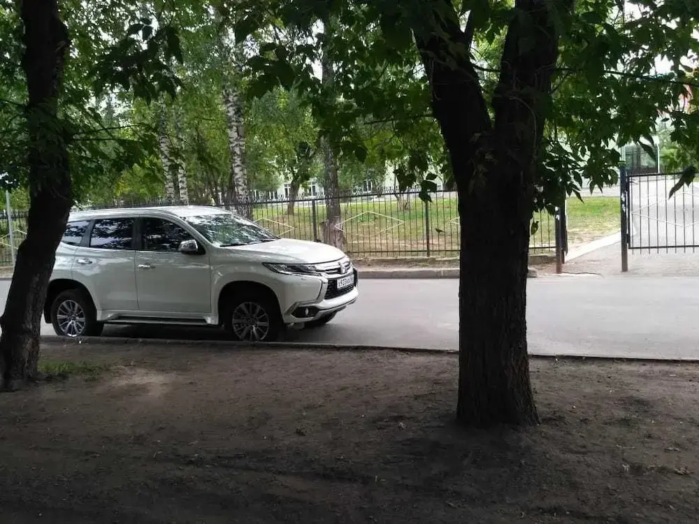 Дружба
