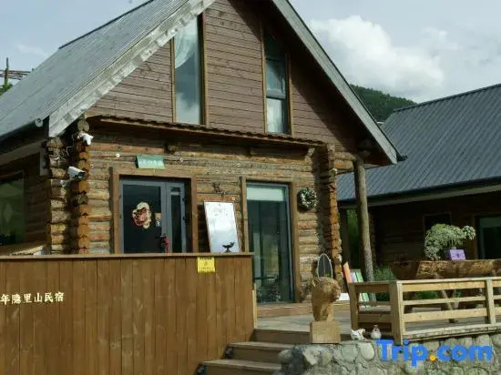 Hemu Xiaonian Yinlishan Homestay