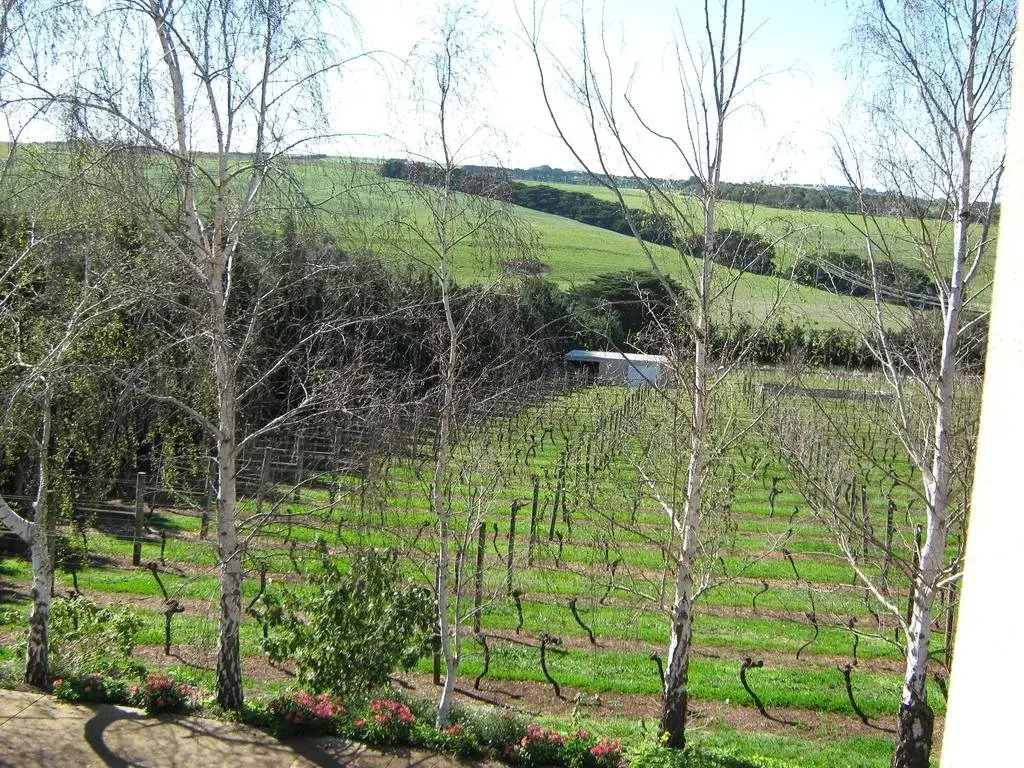 Waybourne Vineyard & Winery