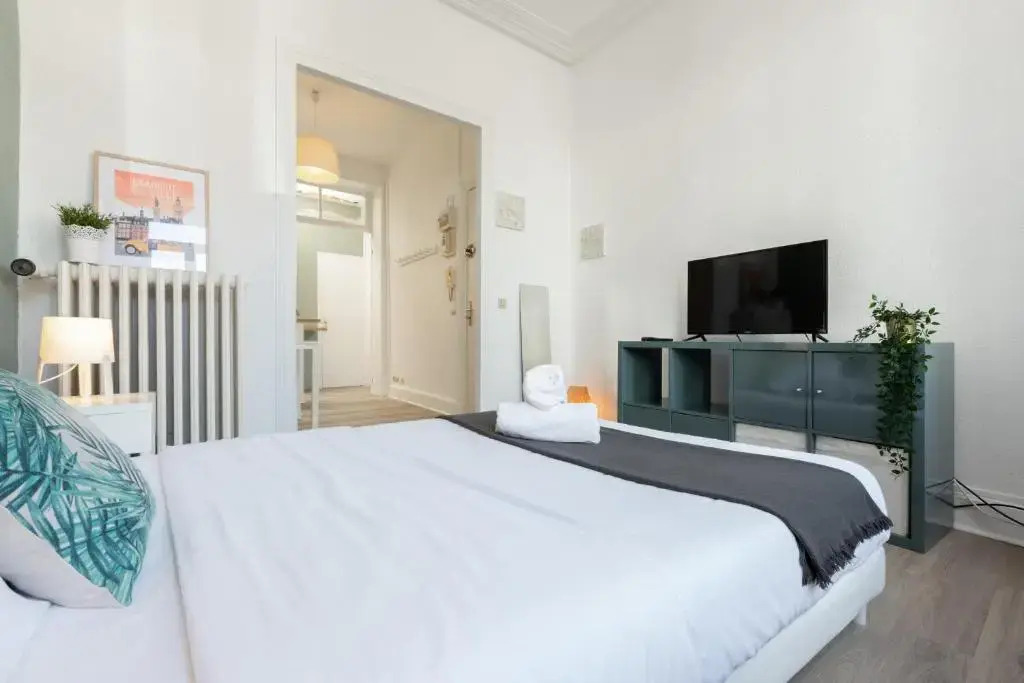 Lille Centre - Nice and functional studio
