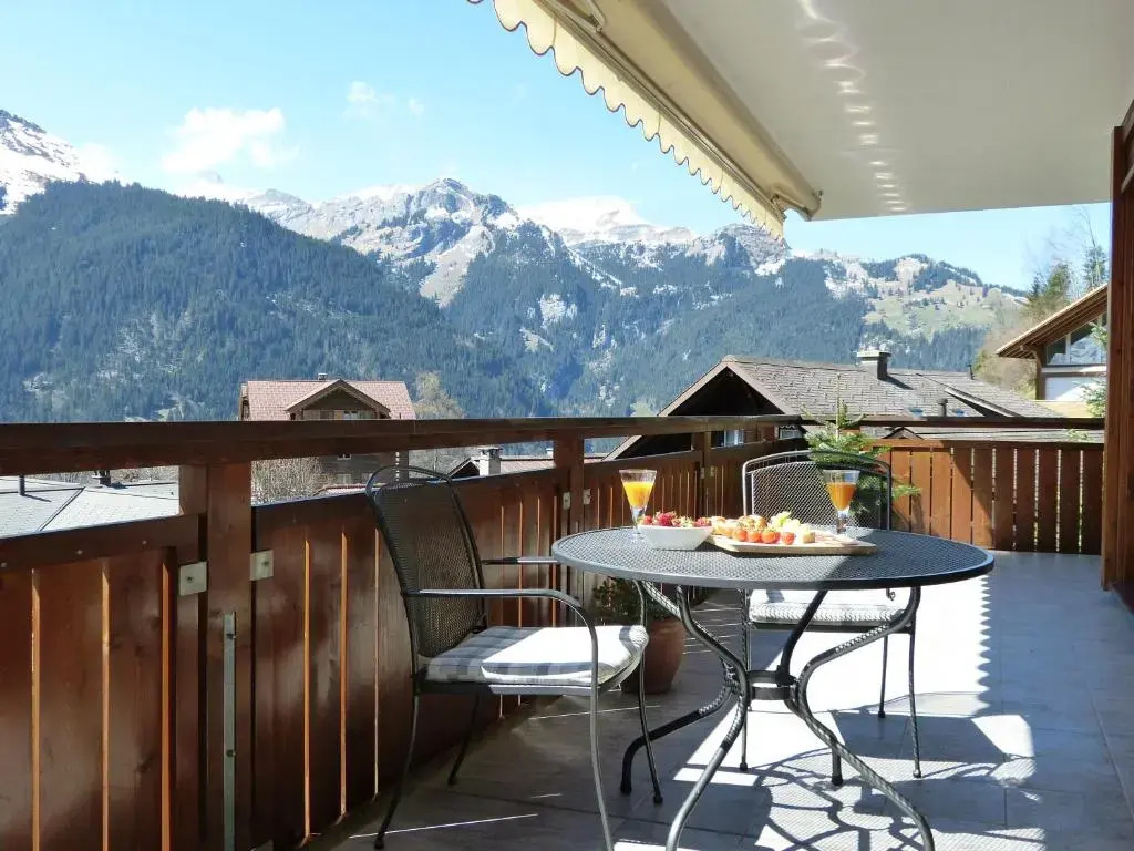 Chalet Bella Vista 2