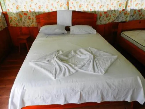 Amazon Eco Tours & Lodge