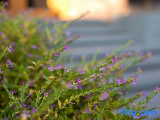 Wuyishanshuyan Mengli Shuixiang Holiday Villa