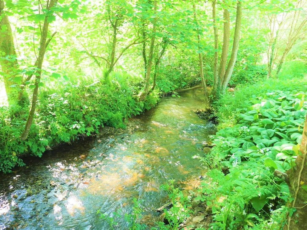 The Wriggly Tin & Baa Spa at Tregoose Old Mill