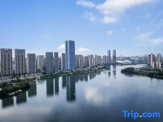 Mehood Lestie · Meixihu Art Center Changsha