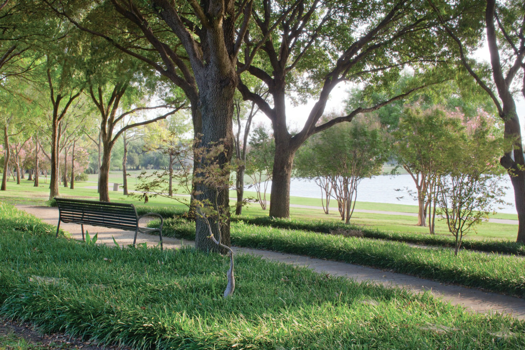 DoubleTree by Hilton Dallas-Farmers Branch