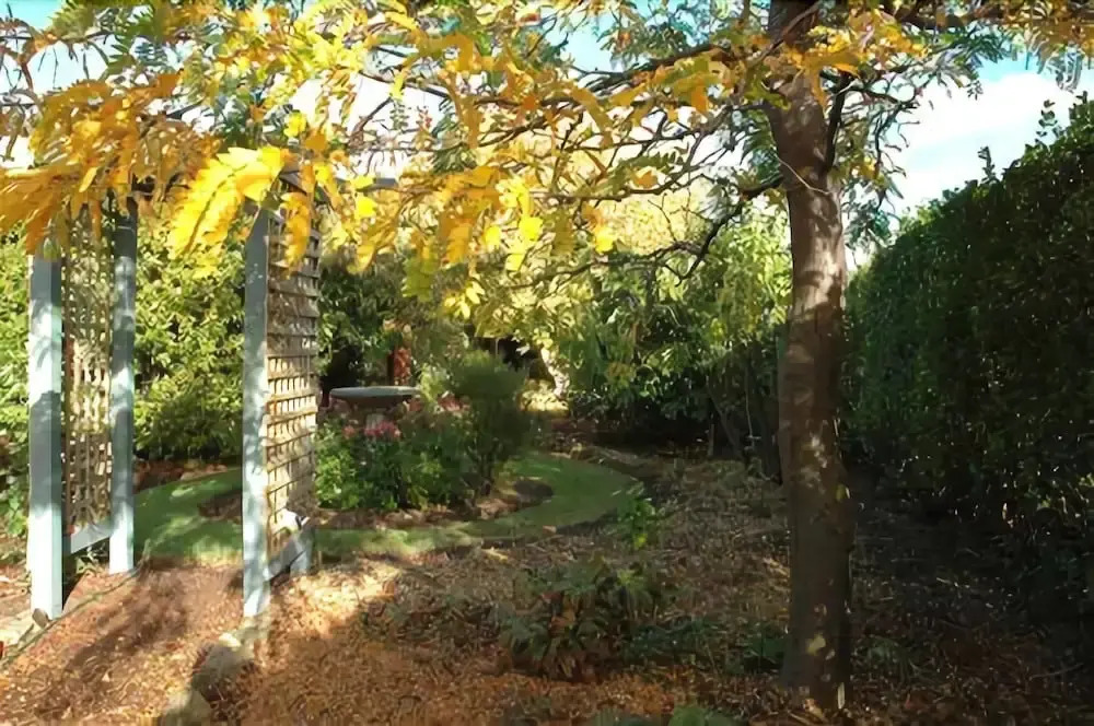 Rosies Inn