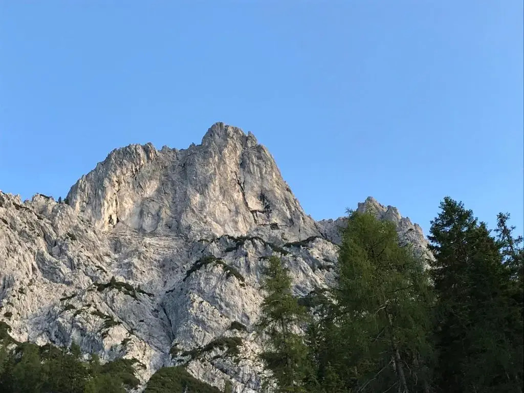 Ferienhaus 4erspitzblick