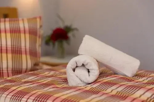 Säuleck Appartement mit Kärntencard