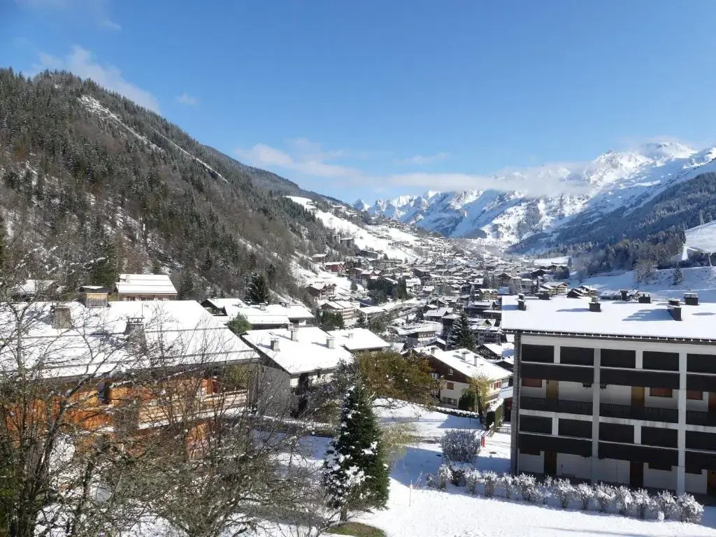 Sapaudia G - Appartement skis aux pieds, belle vue