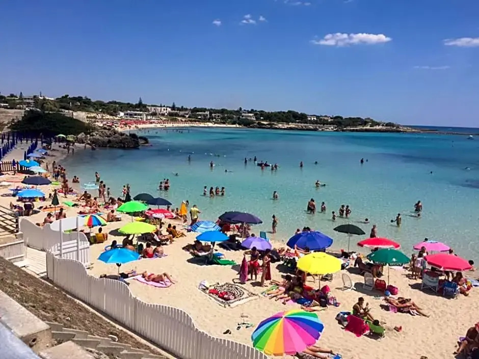 Casa Mita