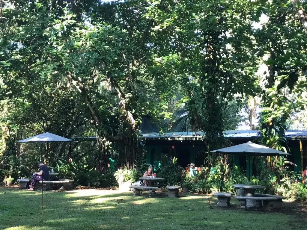 La Palapa Hut Nature Hostel