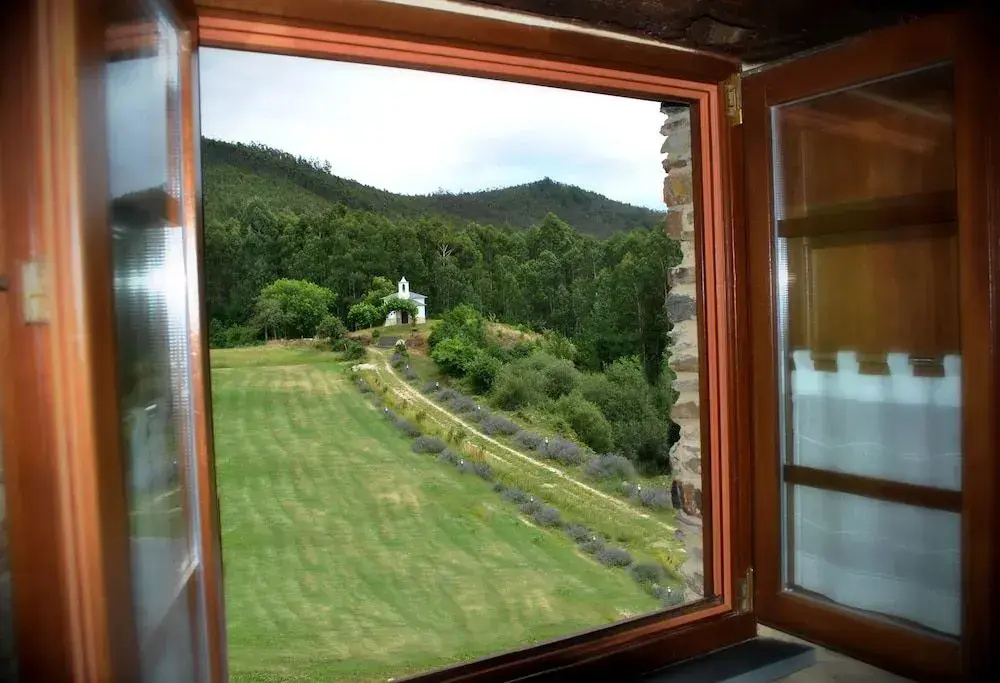 Finca O Bizarro