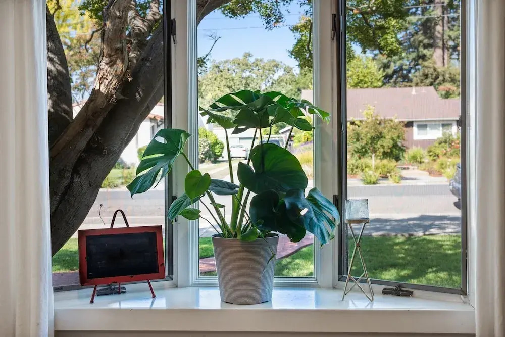 W/ Heated Pool & Hot Tub! 3br Napa Staycation Home 3 Bedroom Home by RedAwning