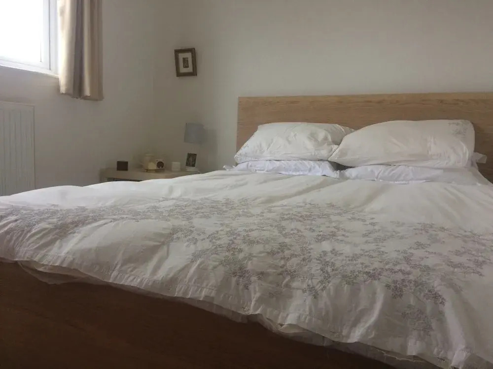 1 Bedroom Apartment in Trendy Hackney Downs