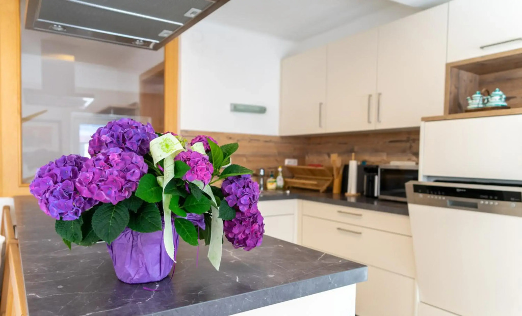 Modern Apartment in the City Center of Bad Ischl