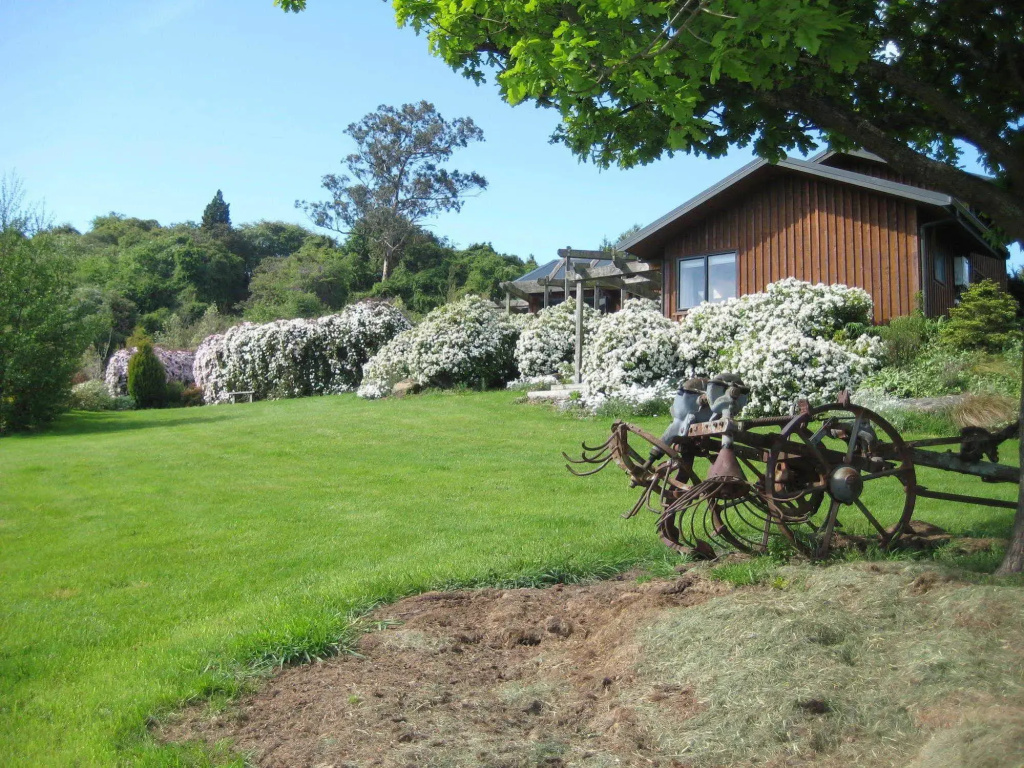Leithview Bed & Breakfast