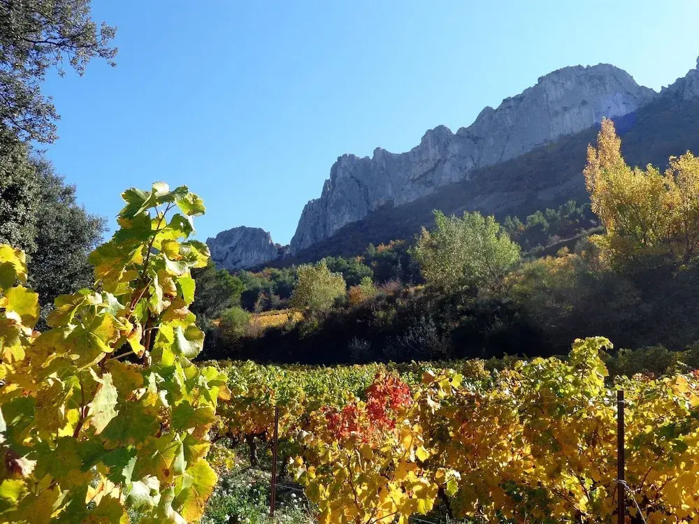 Chambre d'Hôtes Les Petits Sablet