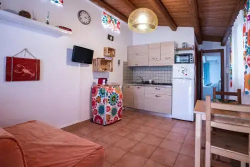Gekos House