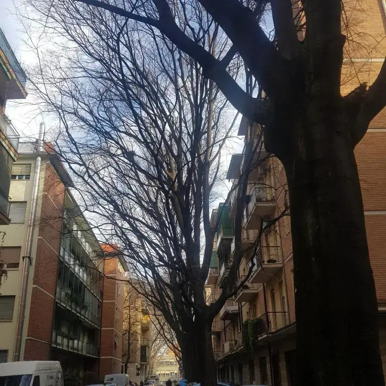 Laghirla, appartamento adiacenze centro storico