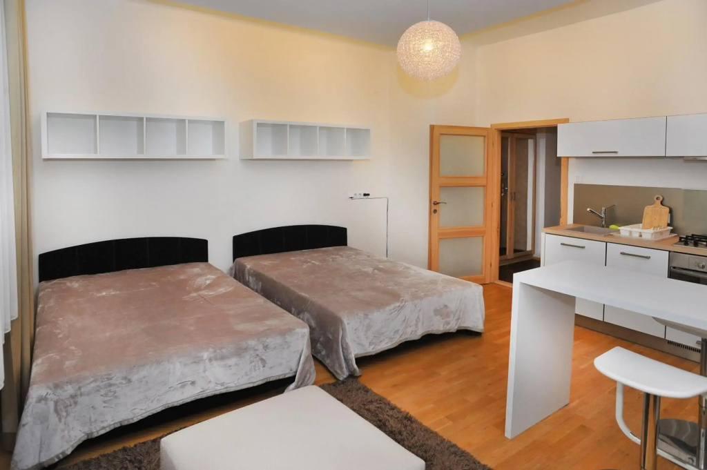 Apartment Elišky Krásnohorské